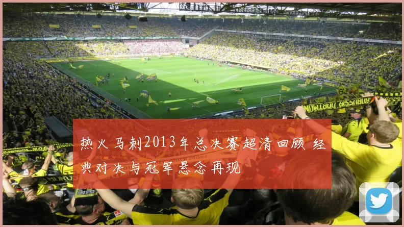 热火马刺2013年总决赛超清回顾 经典对决与冠军悬念再现