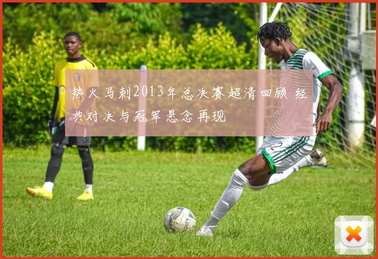 热火马刺2013年总决赛超清回顾 经典对决与冠军悬念再现